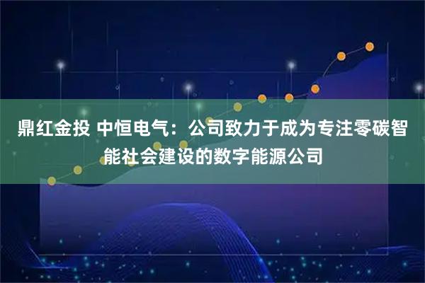 鼎红金投 中恒电气：公司致力于成为专注零碳智能社会建设的数字能源公司