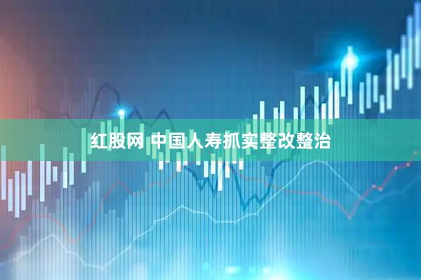 红股网 中国人寿抓实整改整治