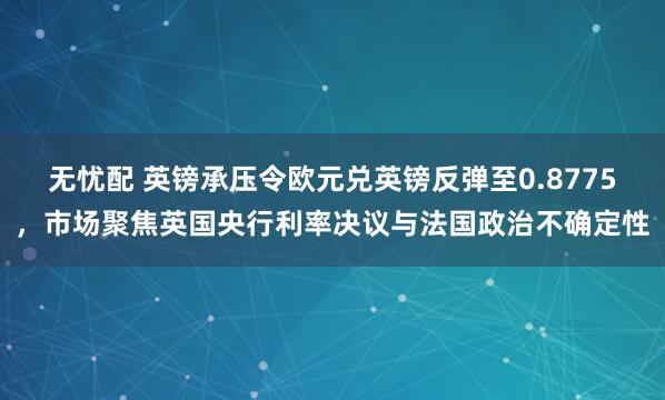 无忧配 英镑承压令欧元兑英镑反弹至0.8775，市场聚焦英国央行利率决议与法国政治不确定性