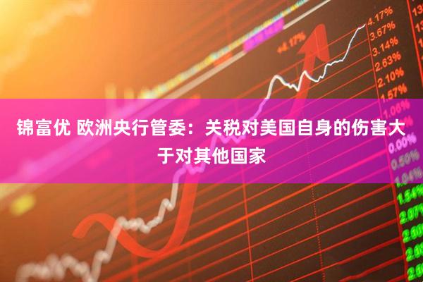 锦富优 欧洲央行管委：关税对美国自身的伤害大于对其他国家